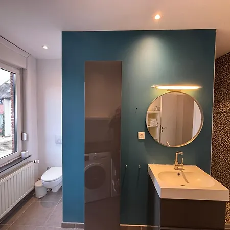 Gezellige Woning Met Tuin Centrum アパート ルーベン
